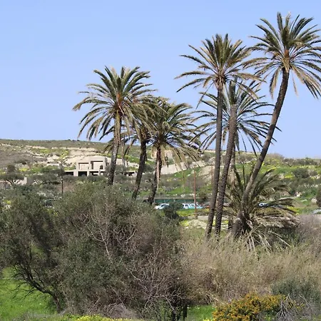 Aphrodite Of Milos Adamantas (Milos)