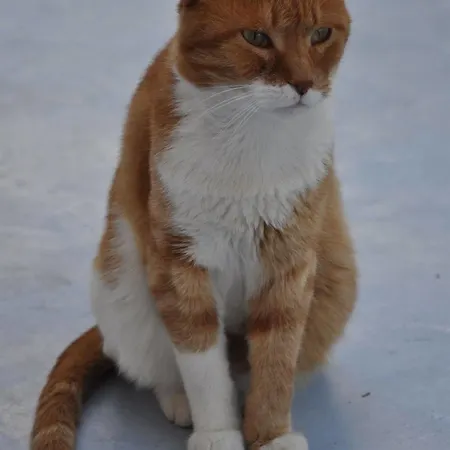 Lägenhet Aphrodite Of Milos *