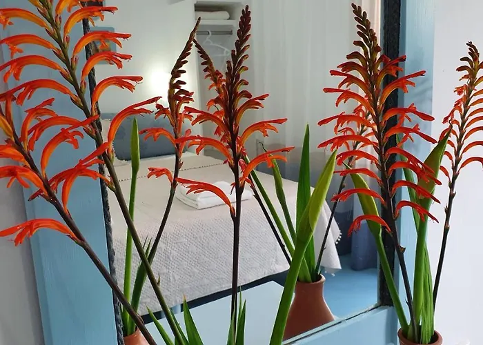 Aphrodite Of Milos Adamantas (Milos)