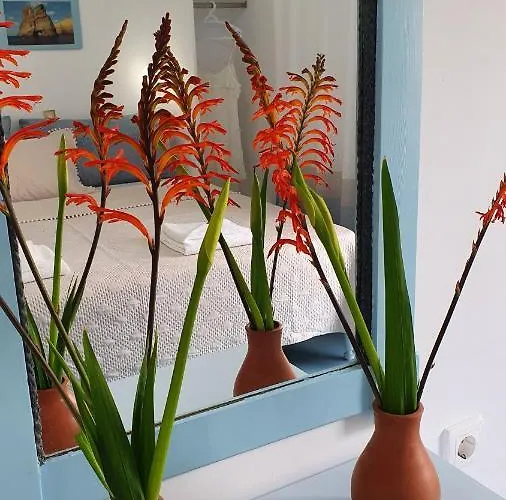 Aphrodite Of Milos Appartement